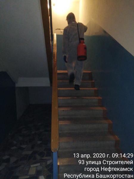 covid-2.jpg